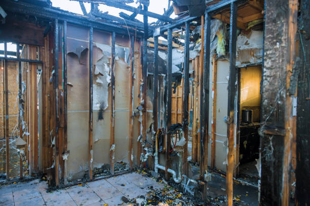 Professional Fire Damage Removal technician working in Round Lake Park, IL